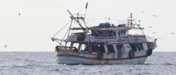 A Sudanese fishing vessel near Siyal Islands